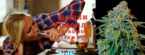 соль ск Белокуриха