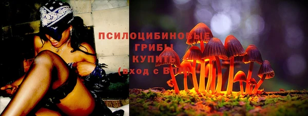 apvp Беломорск